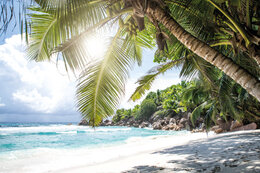 United Travel - ZRB & ZRT