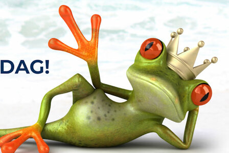 Promo Koningsdag 2022