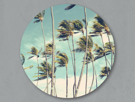 WANDDECO ROND - PALMTREES