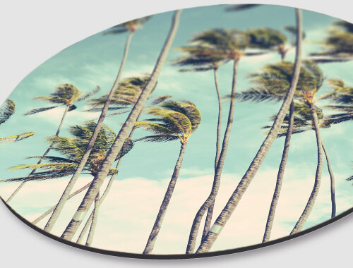 WANDDECO ROND - PALMTREES