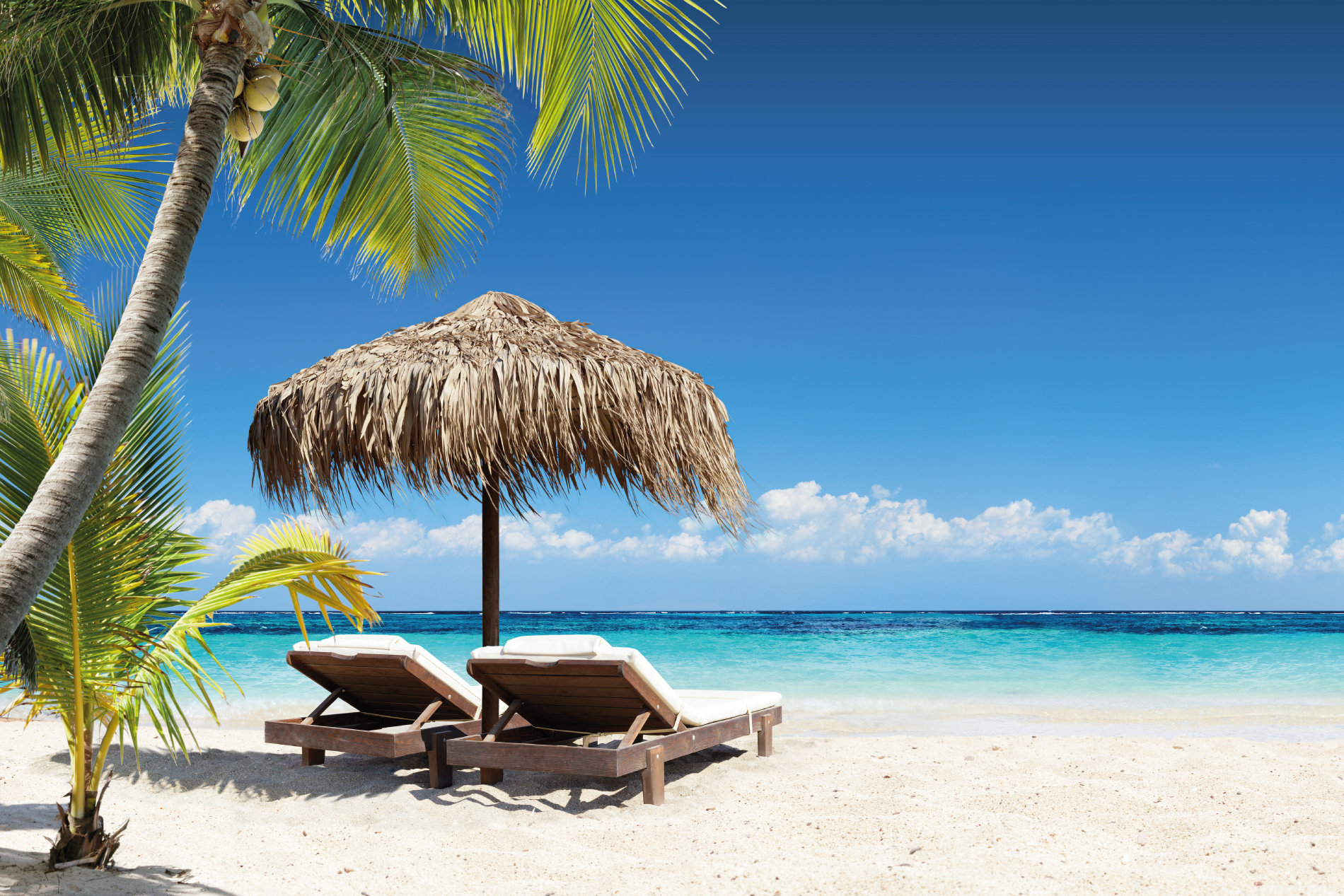 HolidayPlanners