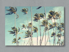 WANDDECO RECHT - PALMTREES