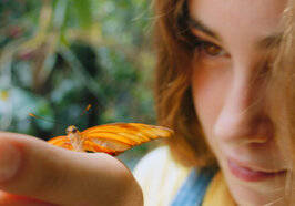 Promo Sla je vleugels uit - The Travel Club